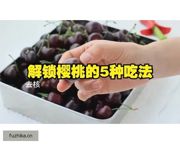 樱桃视频：开启视界新篇章，经典与潮流在此交汇